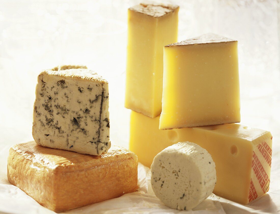 Various types of cheese