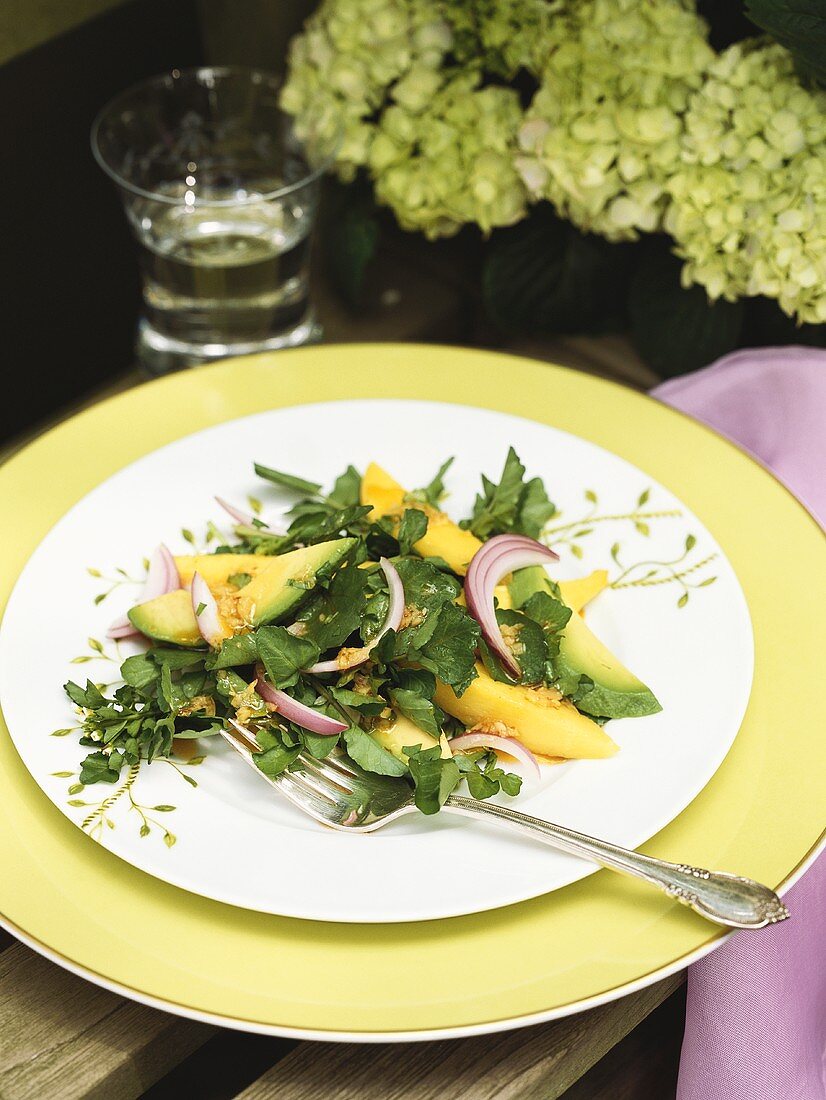 Avocadosalat mit Mango und Brunnenkresse