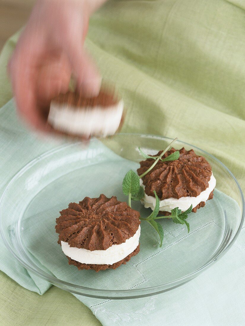 Ice cream sandwiches