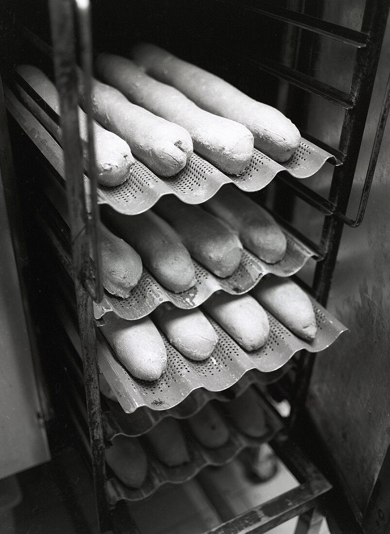 Several baguettes on tins on a stand