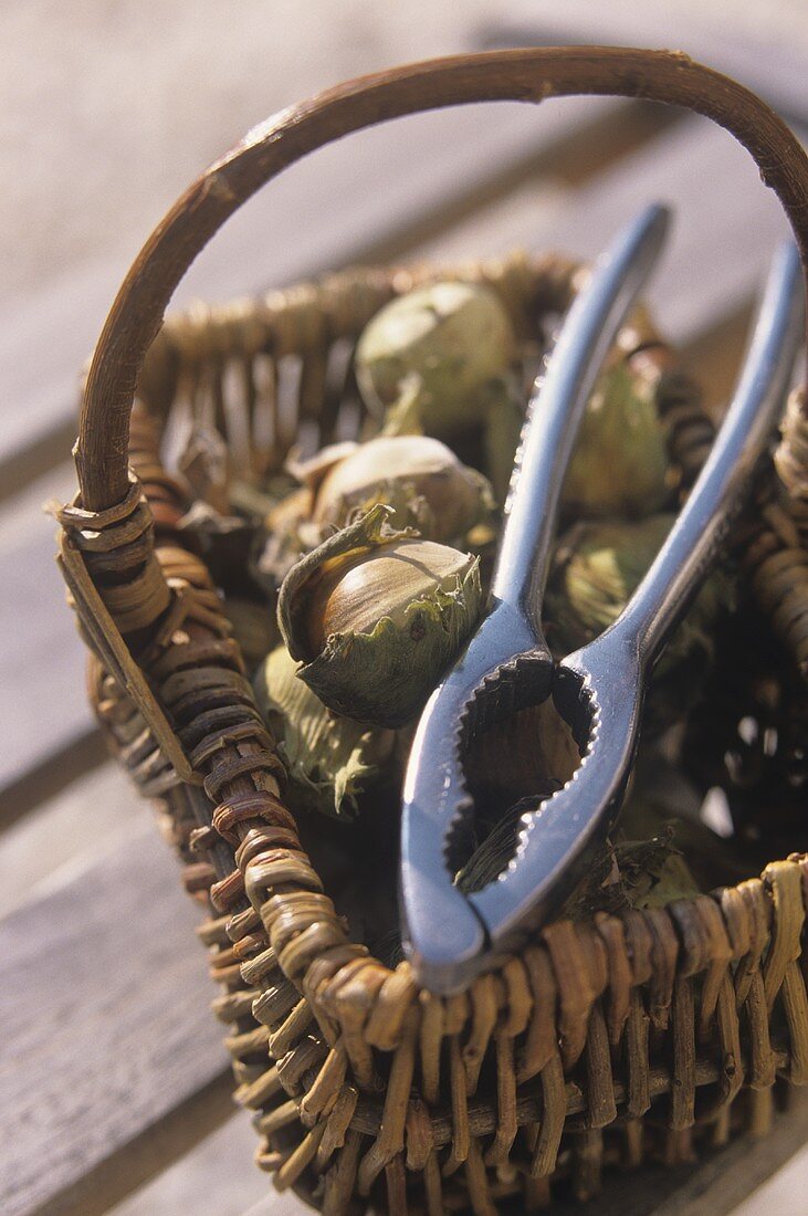 Hazelnuts and nutcrackers in a basket