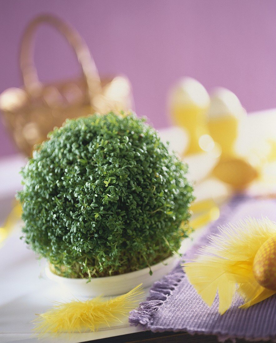 Garden cress in a small bowl