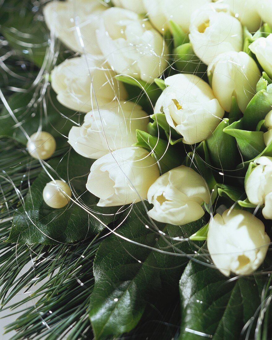 Bouquet of white tulips