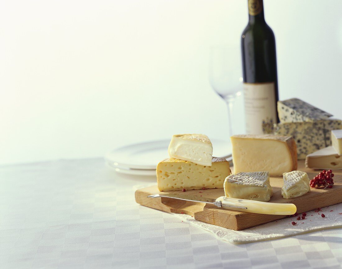 Various types of cheese with wine