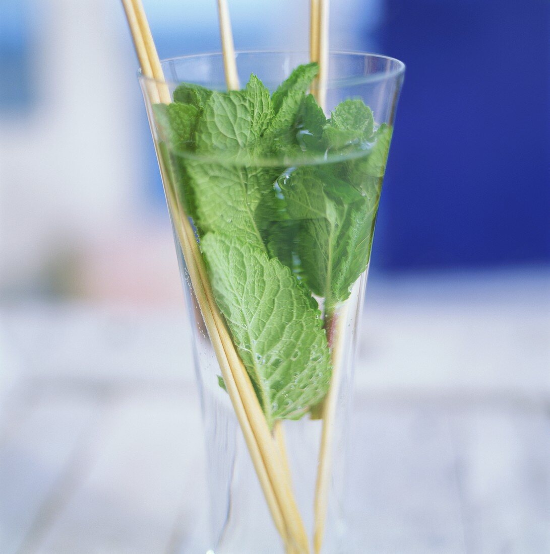 Mineral water with fresh mint