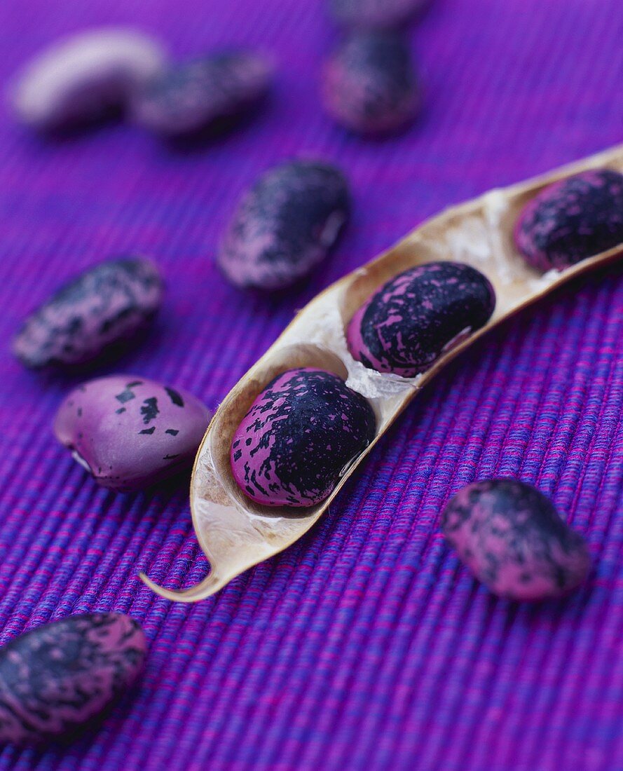 Purple beans with pod