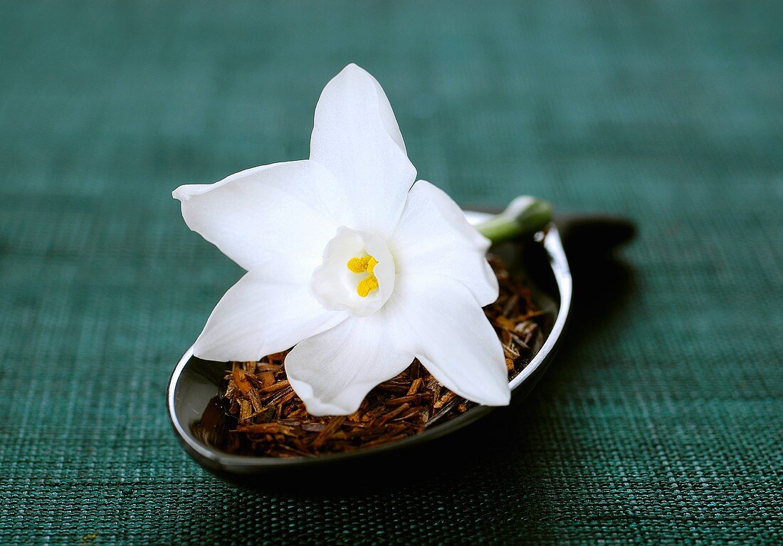White narcissus flower on a spoonful of redbush tea