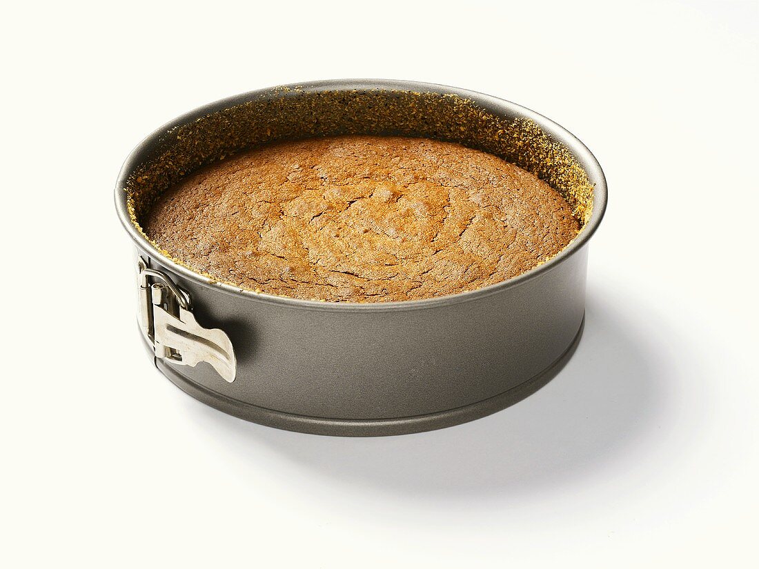 Freshly-baked chocolate cake in springform pan