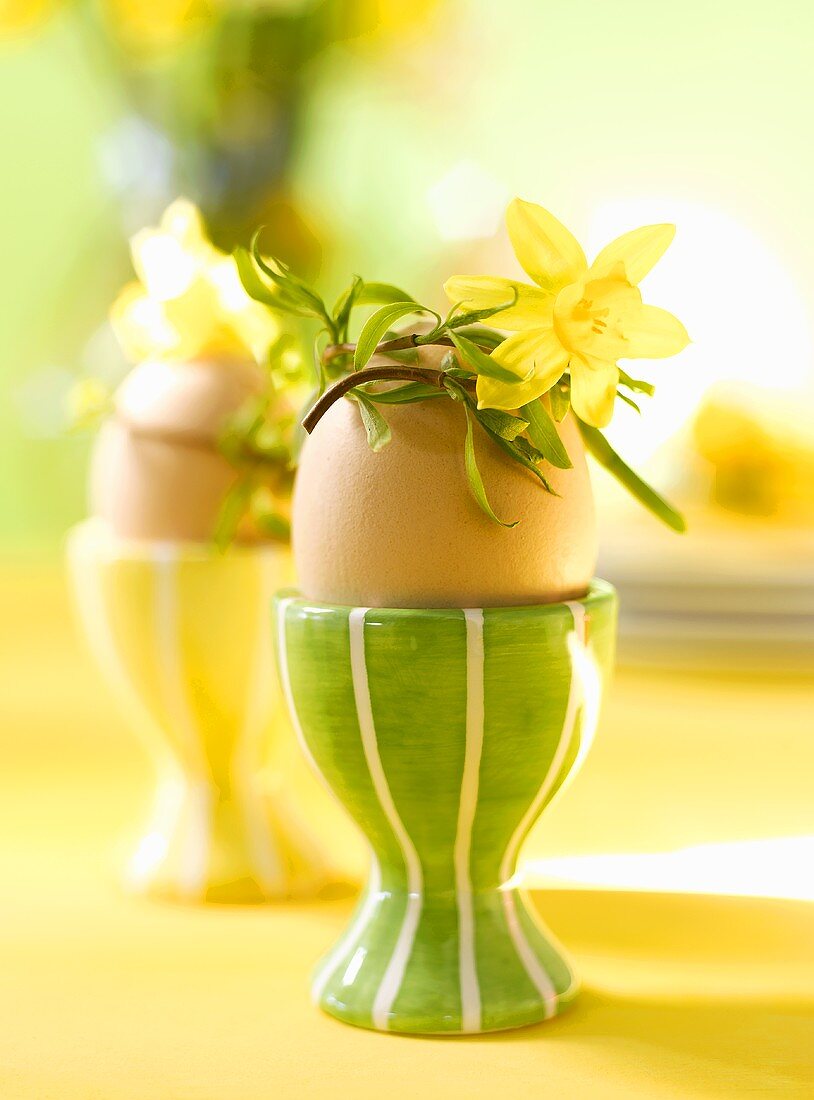 Boiled egg in eggcup with narcissus