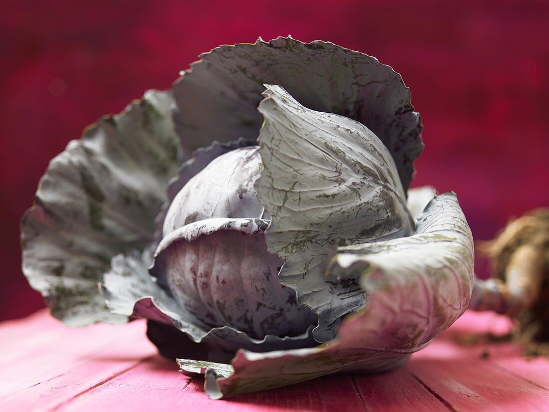 A red cabbage