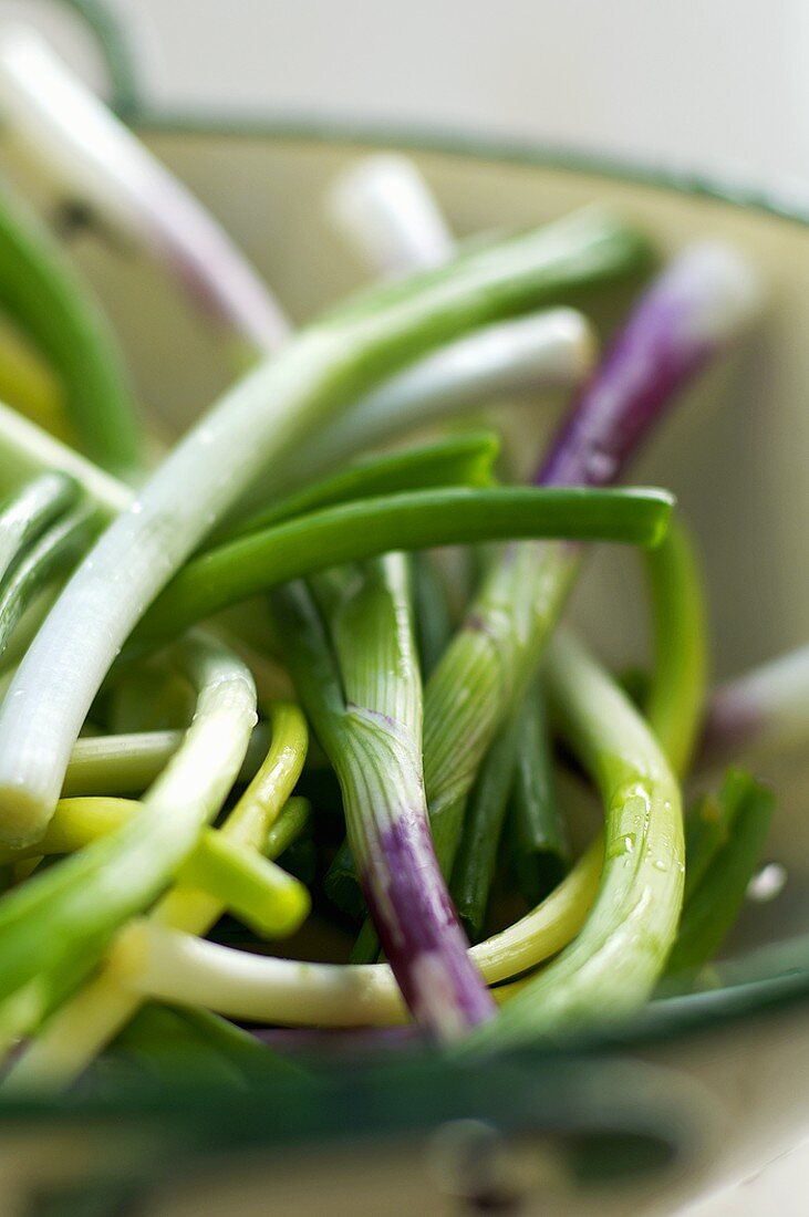 Spring onions in a dish