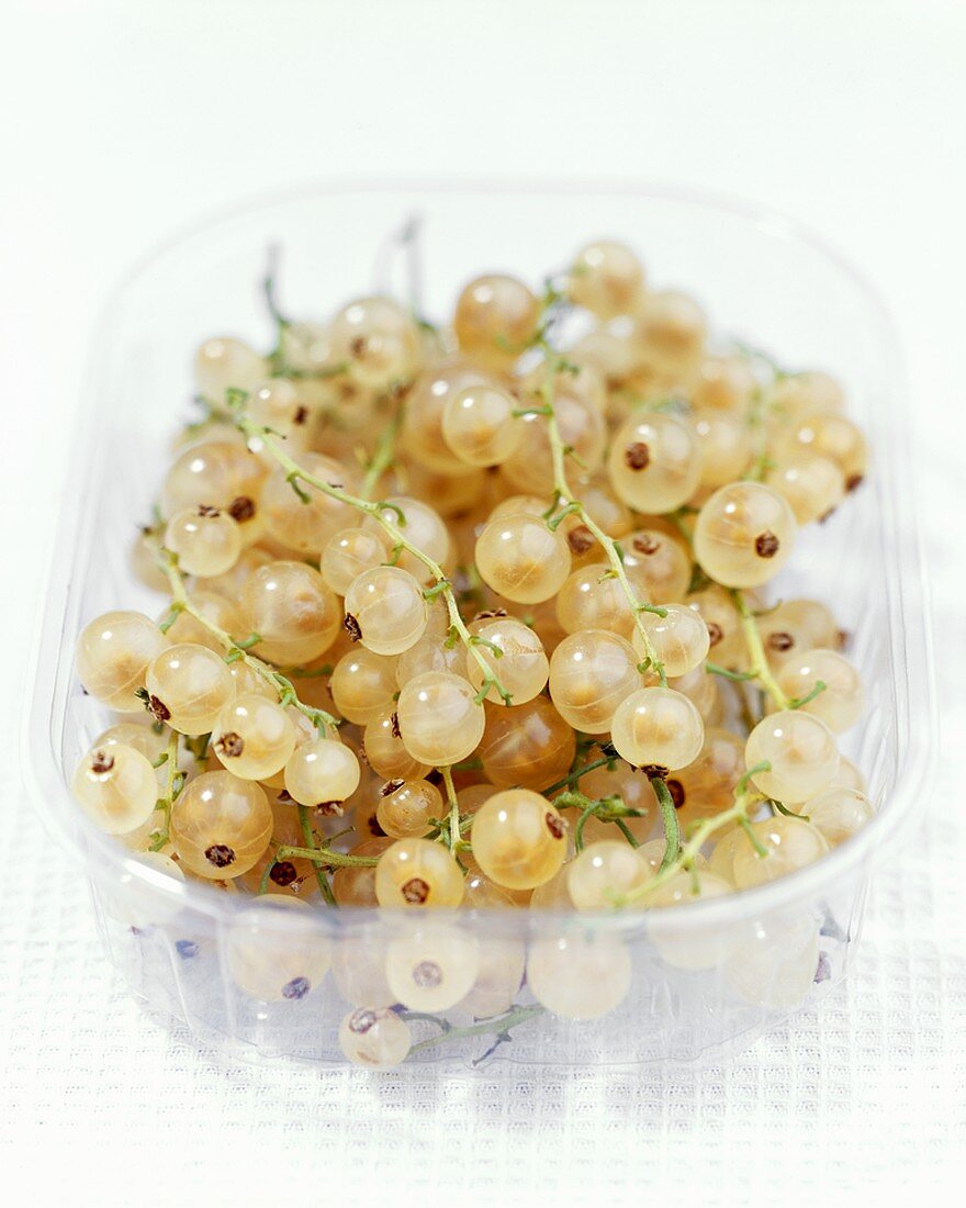 White currants in a plastic punnnet