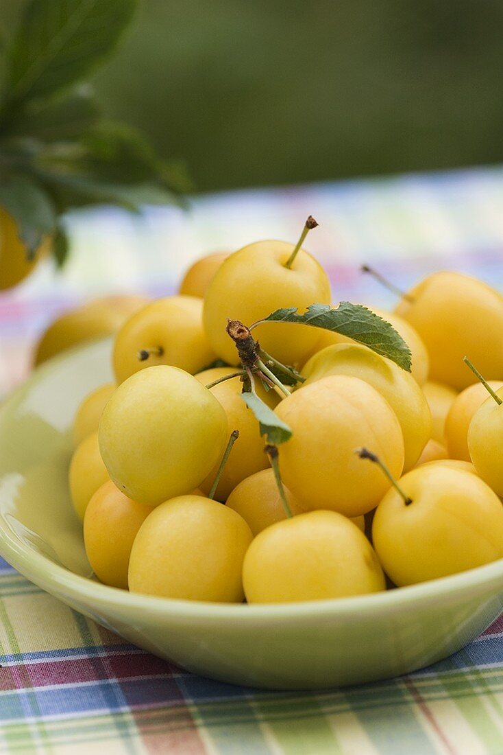 A small dish of fresh mirabelles