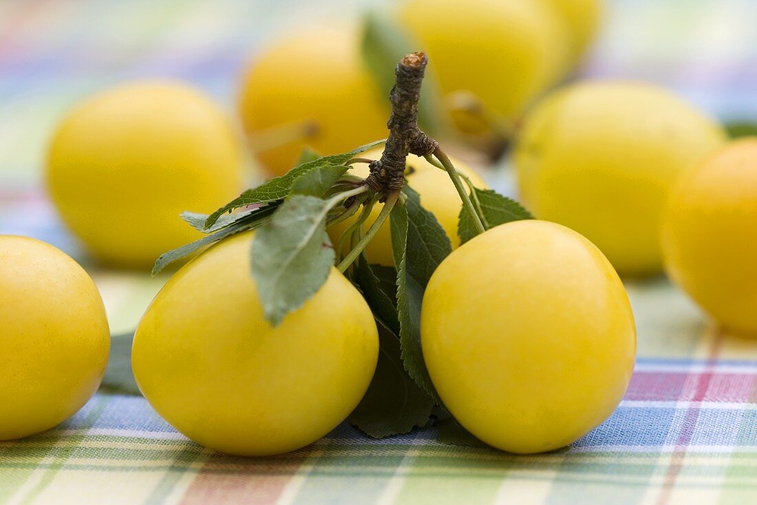 Fresh mirabelles