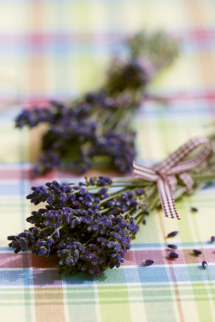 Two bunches of lavender