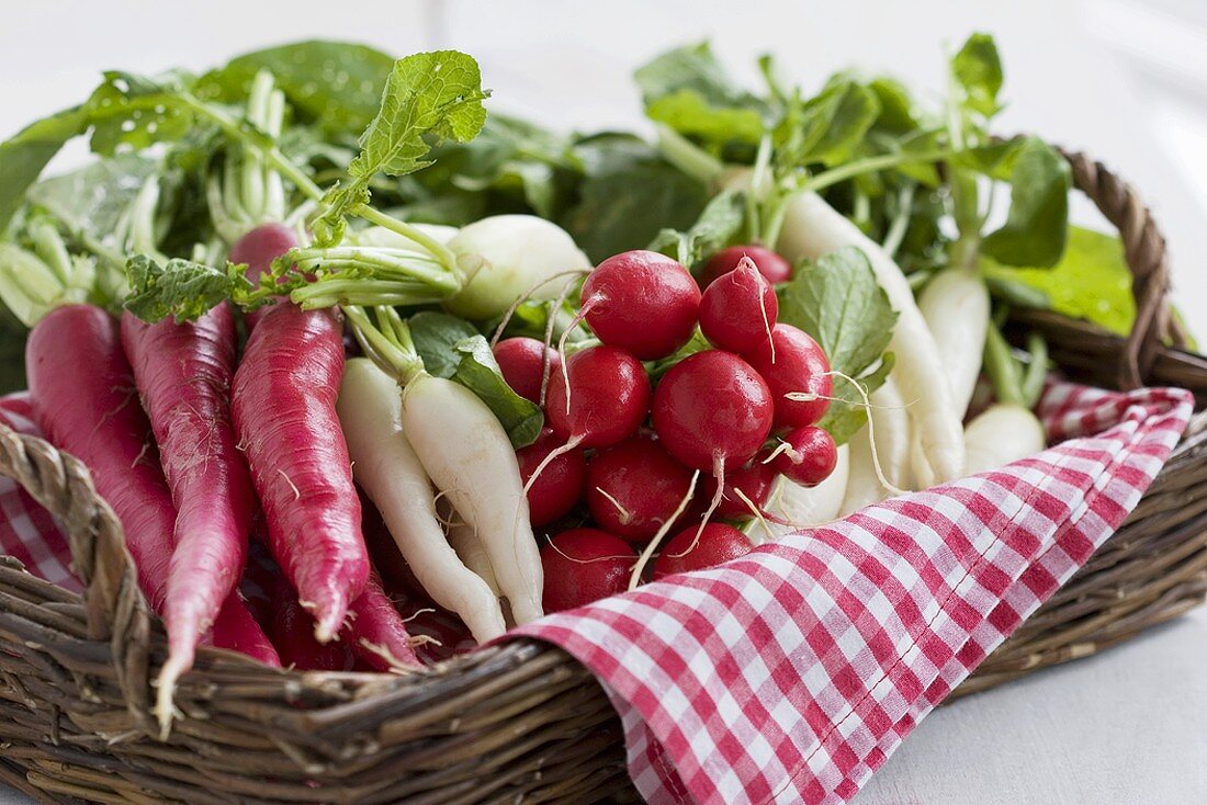 Various types of radishes in a basket