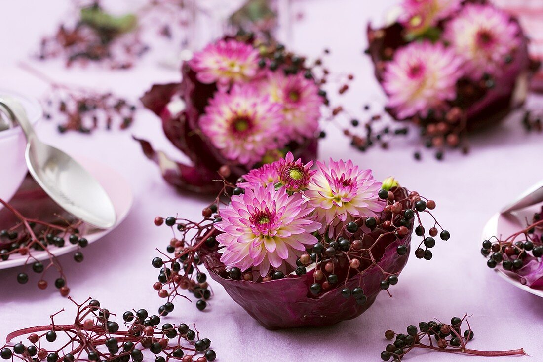 Red cabbage leaves filled with elderberries and dahlias