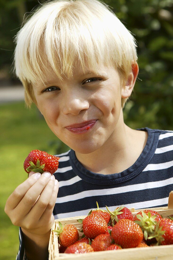 Blonder Junge mit Erdbeerkiste und angebissener Erdbeere