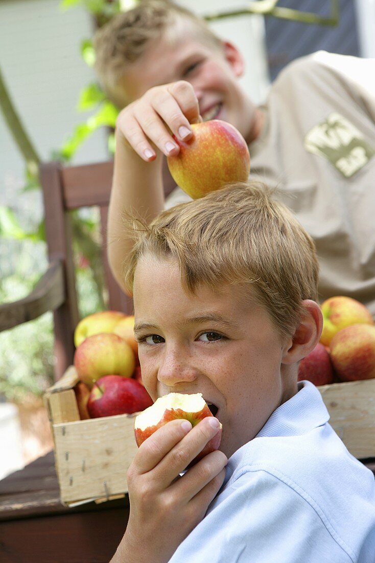 Zwei Jungs mit frisch geernteten Äpfeln