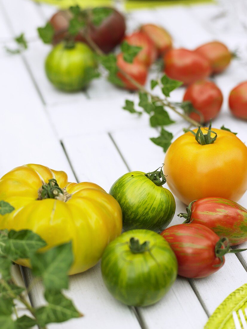 Verschiedene Tomatensorten mit Efeu als Tischdeko