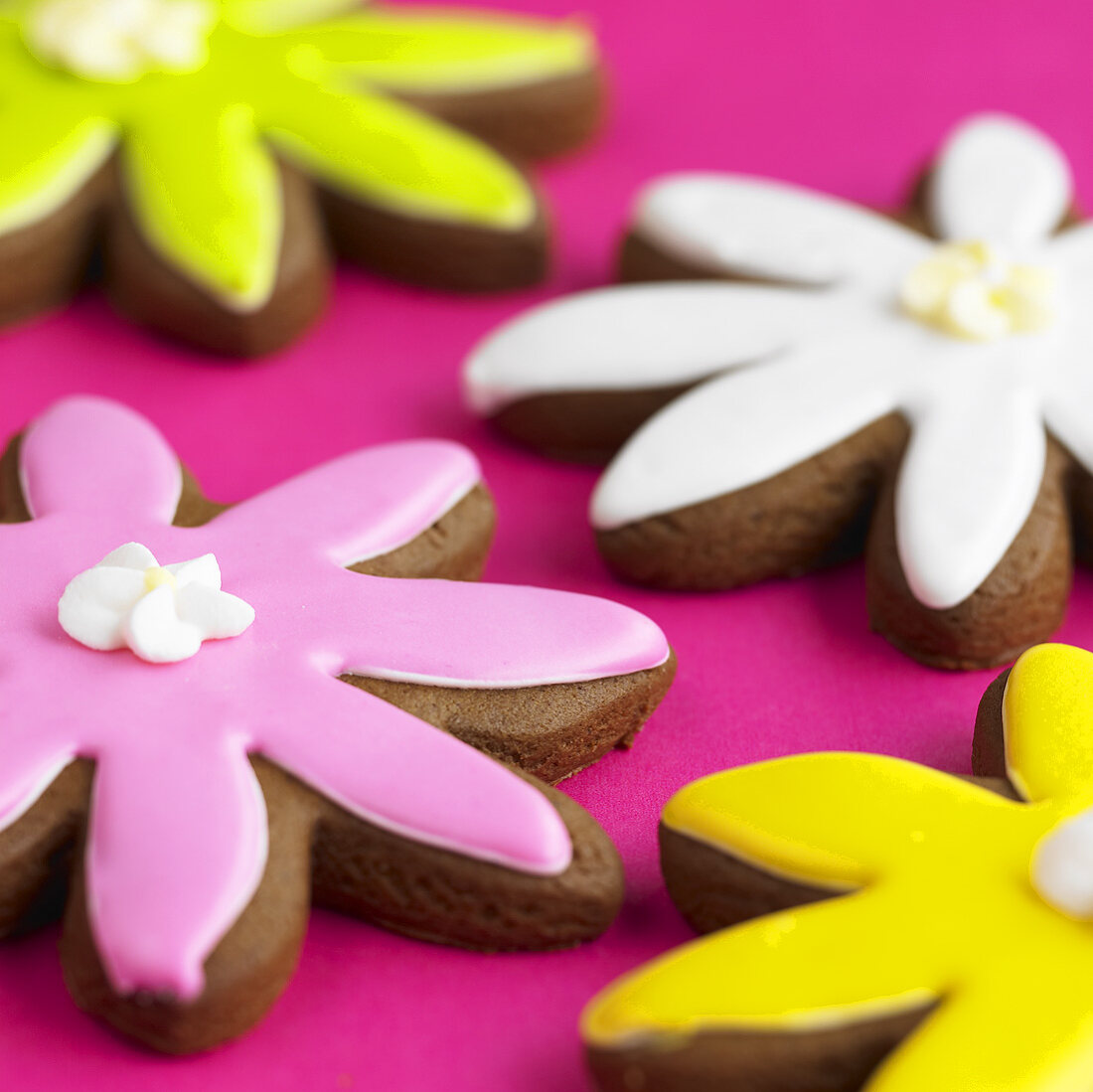 Iced flower biscuits