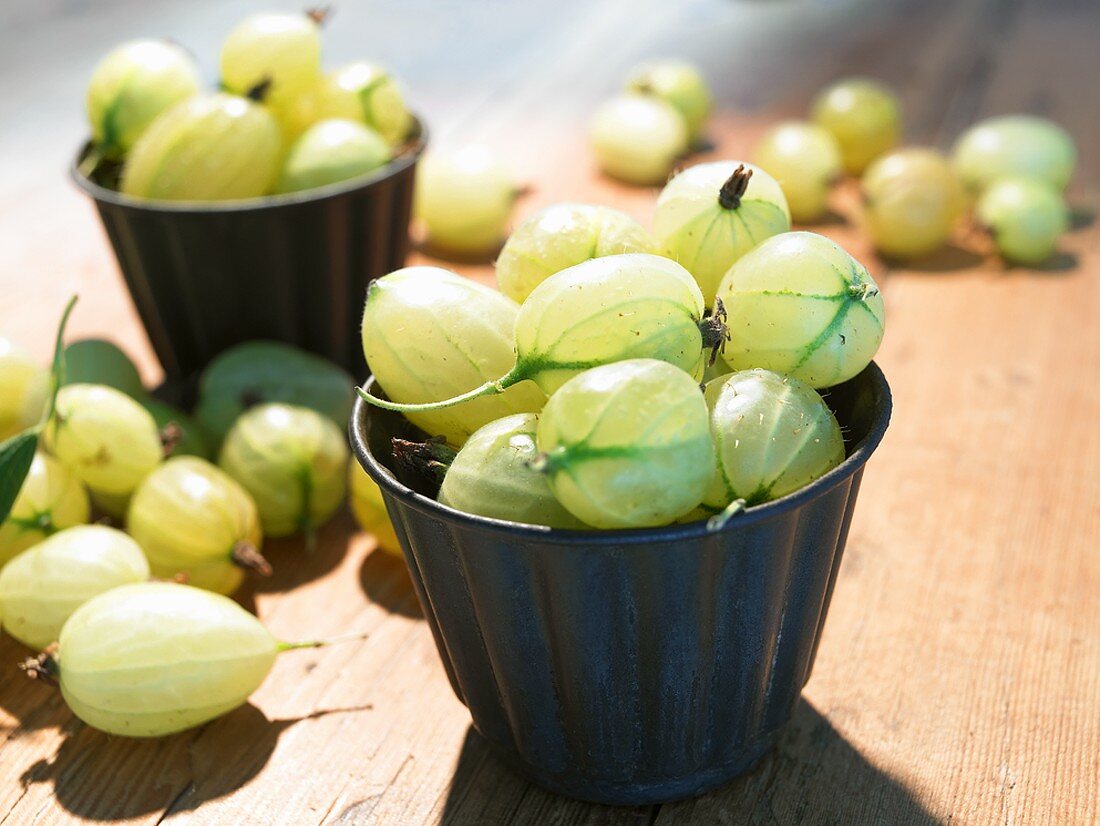 Green gooseberries in and around two containers