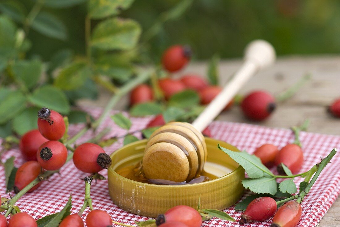 Rose hip honey on a honey dipper surrounded by rose hips