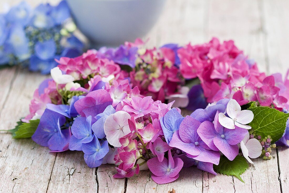 Wreath of hydrangea flowers