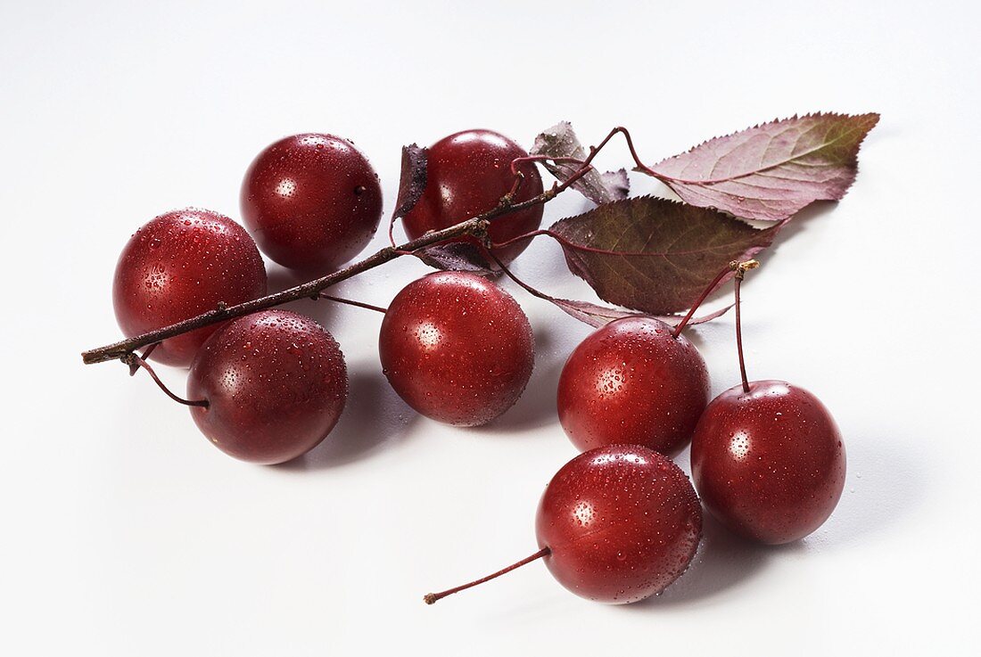 Whole cherry plums