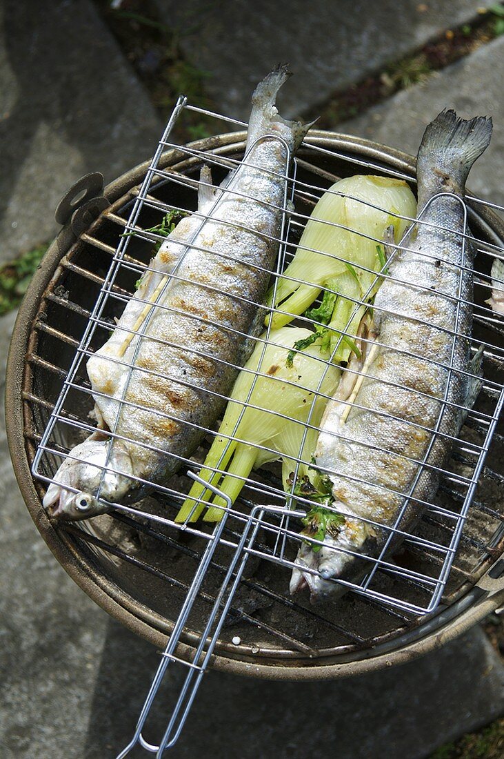 Trout stuffed with herbs on barbecue