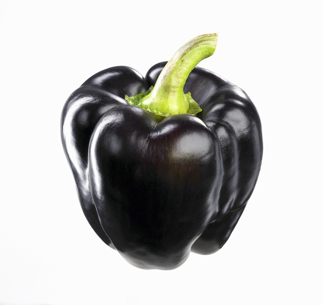 A black pepper