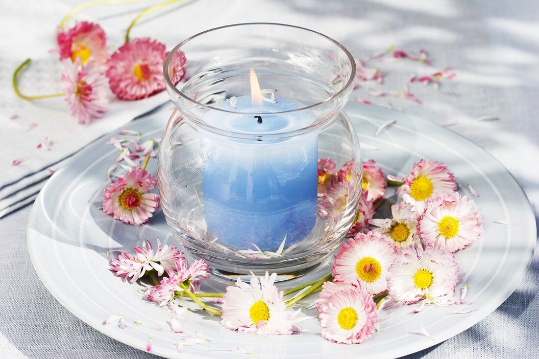 Windlight on a plate of bellis flowers