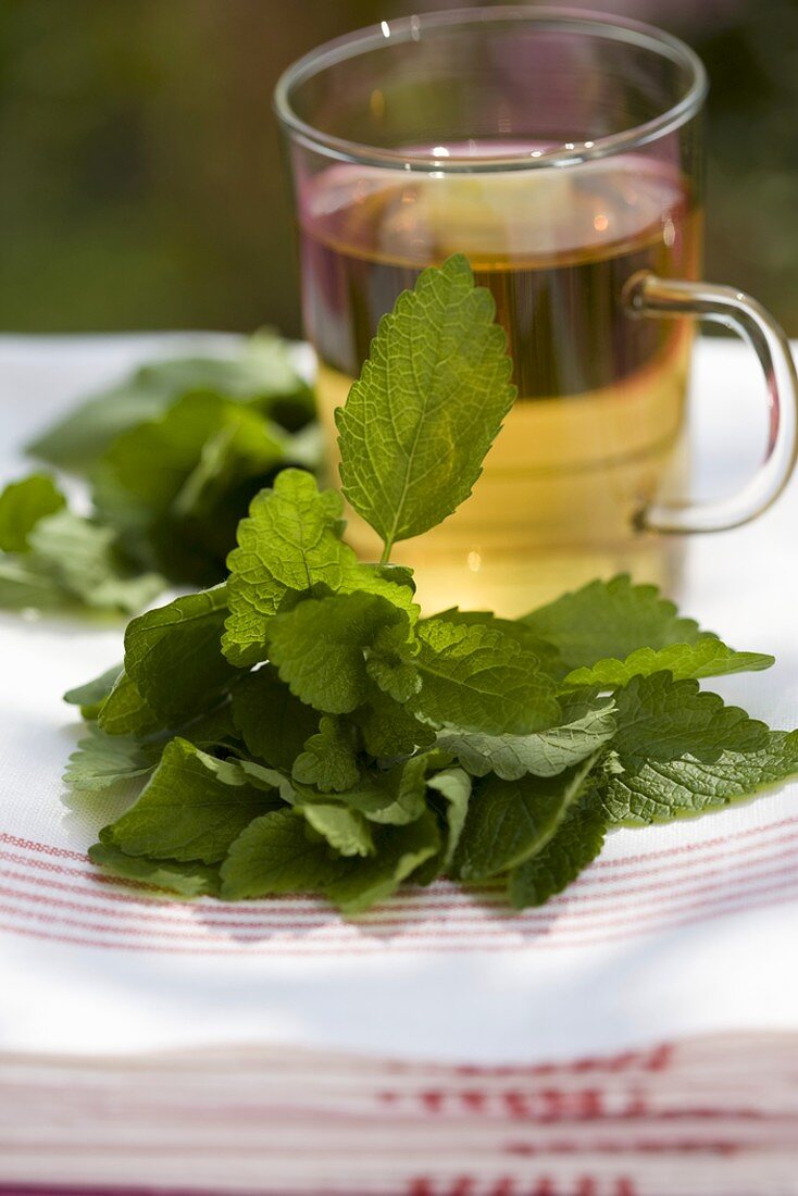 A glass of peppermint tea with fresh peppermint