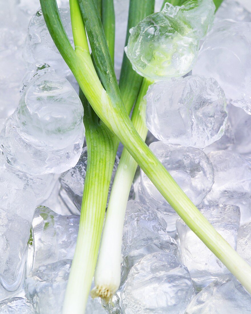 Spring onions on ice