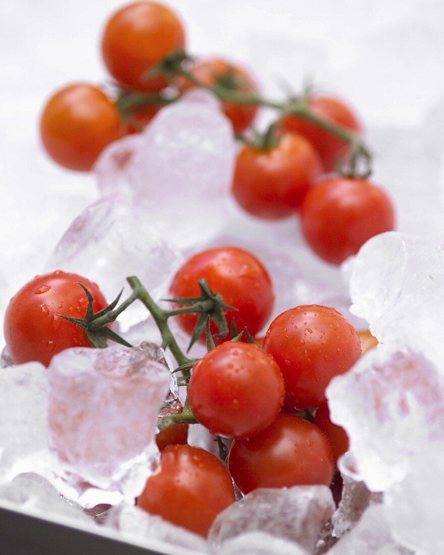 Cherry tomatoes on ice cubes