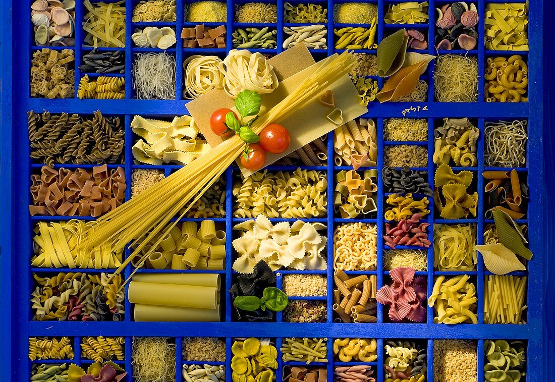 A blue seeding tray with various types of pasta