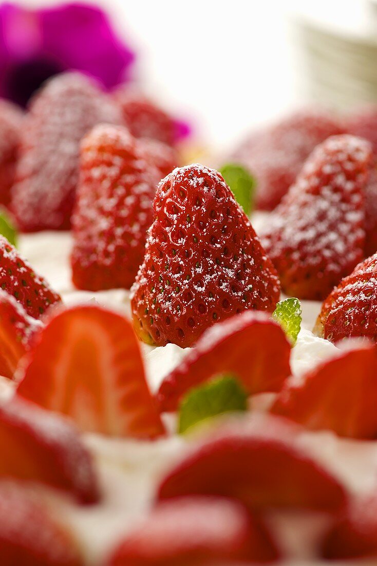 Crostata alle fragole (Erdbeerkuchen mit Sahne)