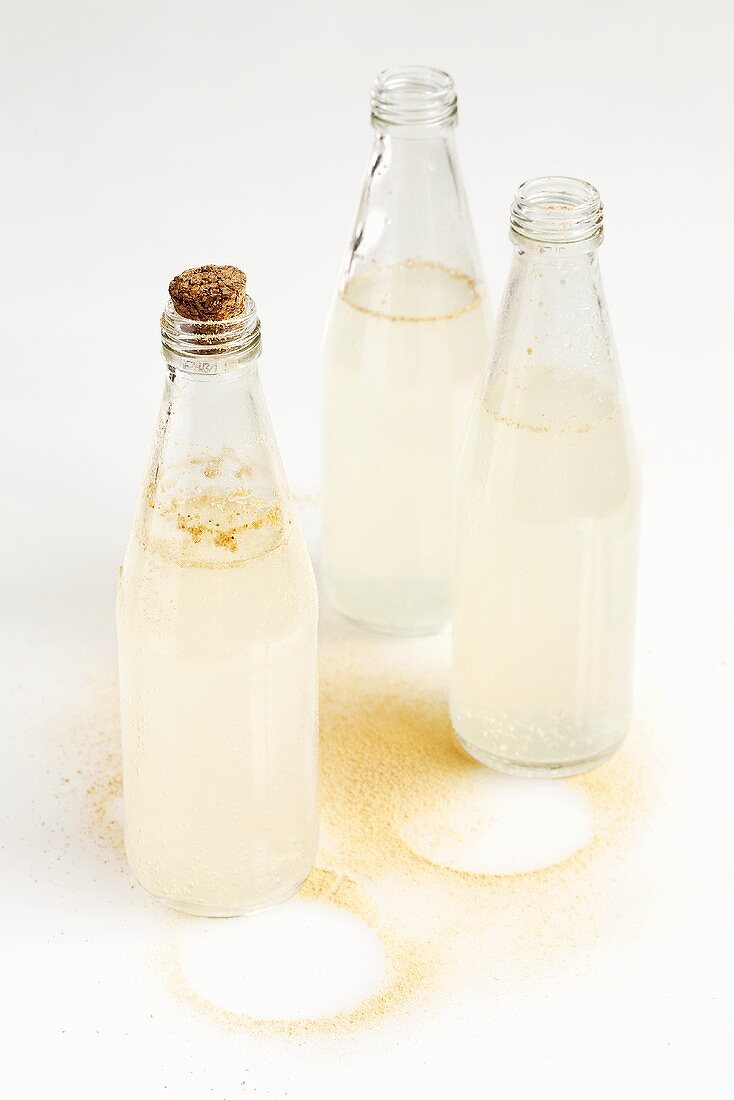 Homemade ginger beer in three bottles