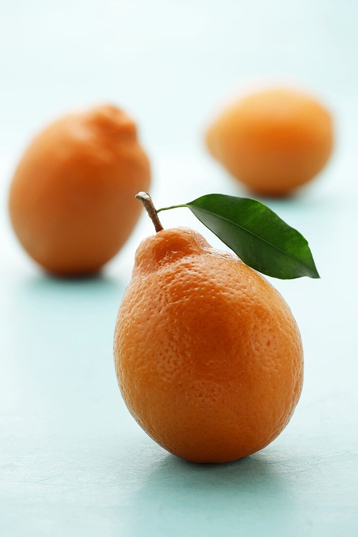 Drei Tangerinen
