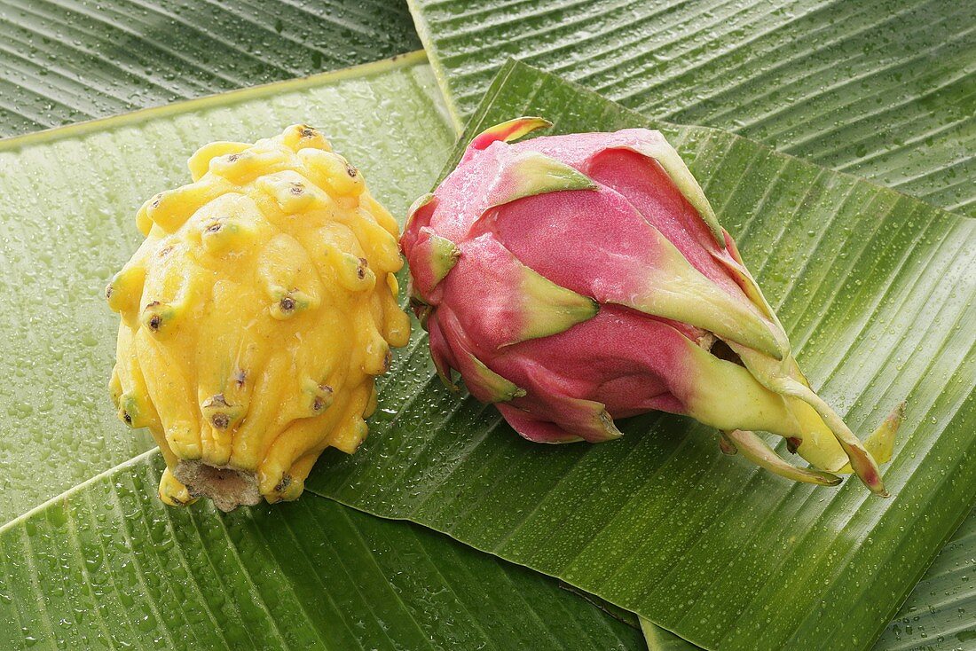 Yellow and pink pitahayas on banana leaves
