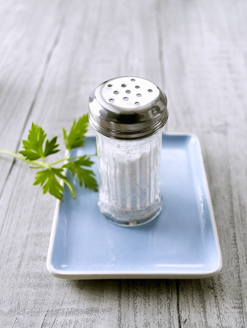 Salzstreuer mit Salz auf einer Platte