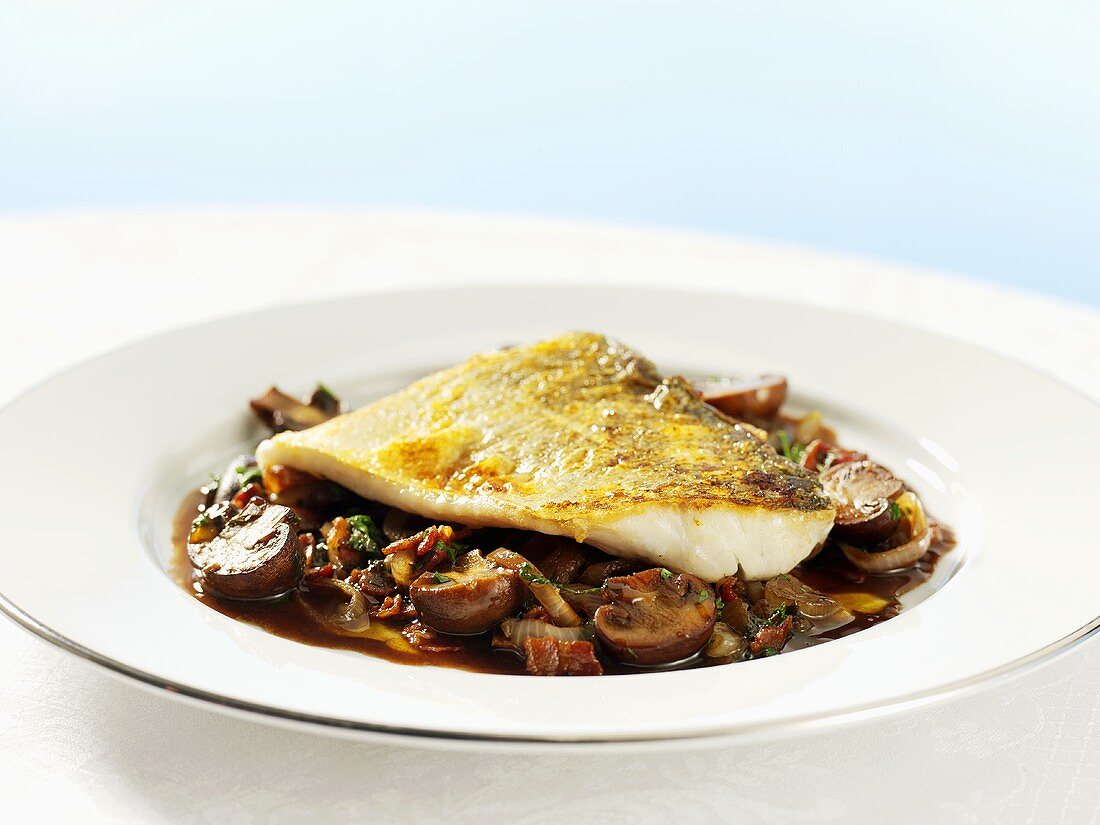 Fried zander fillet on mushroom ragout