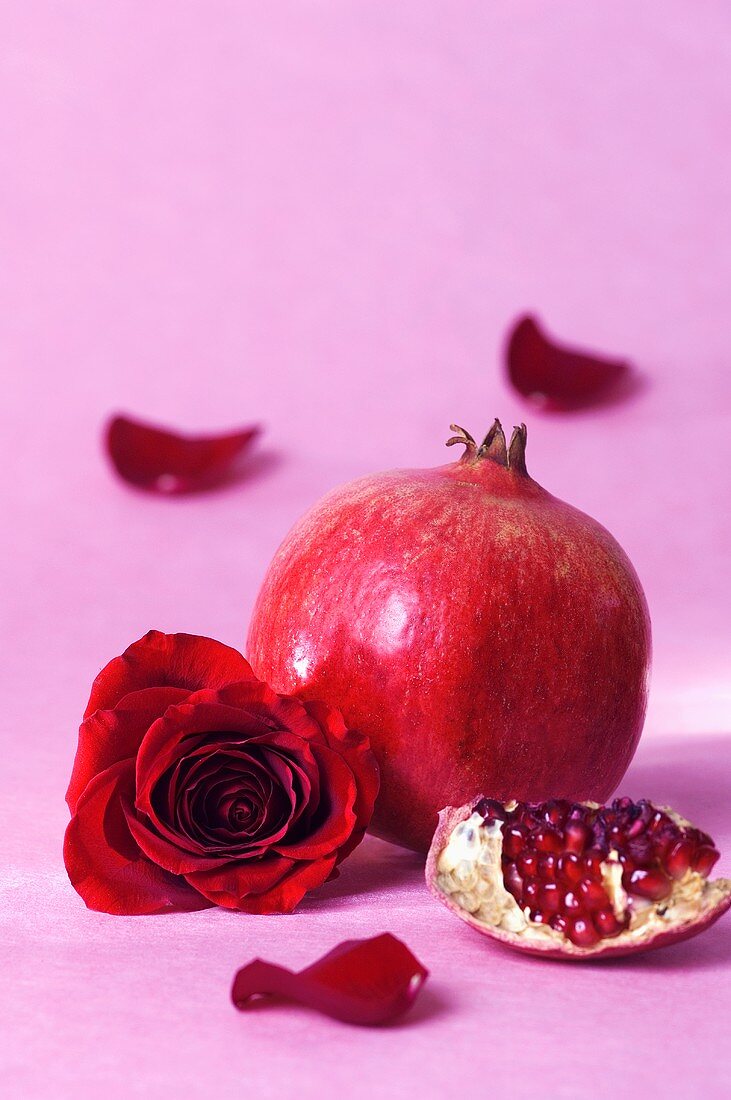 Pomegranate with rose