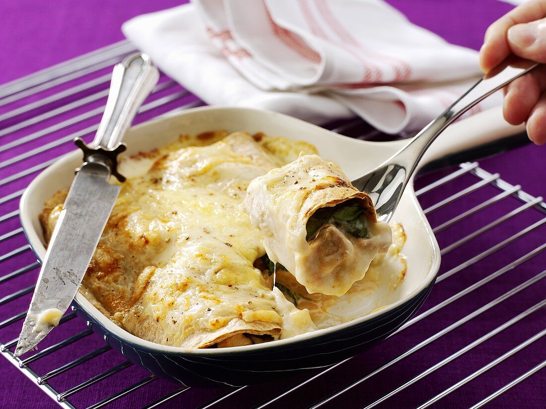 Chicken enchiladas with spinach and mushrooms