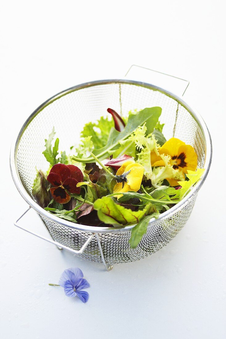 Gemischter Kräuter-Blüten-Salat in einem Sieb