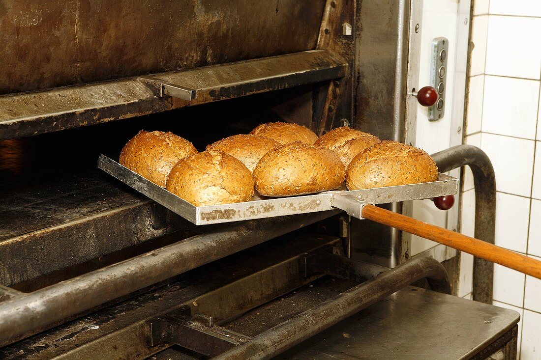 Krustenbrot aus dem Ofen nehmen