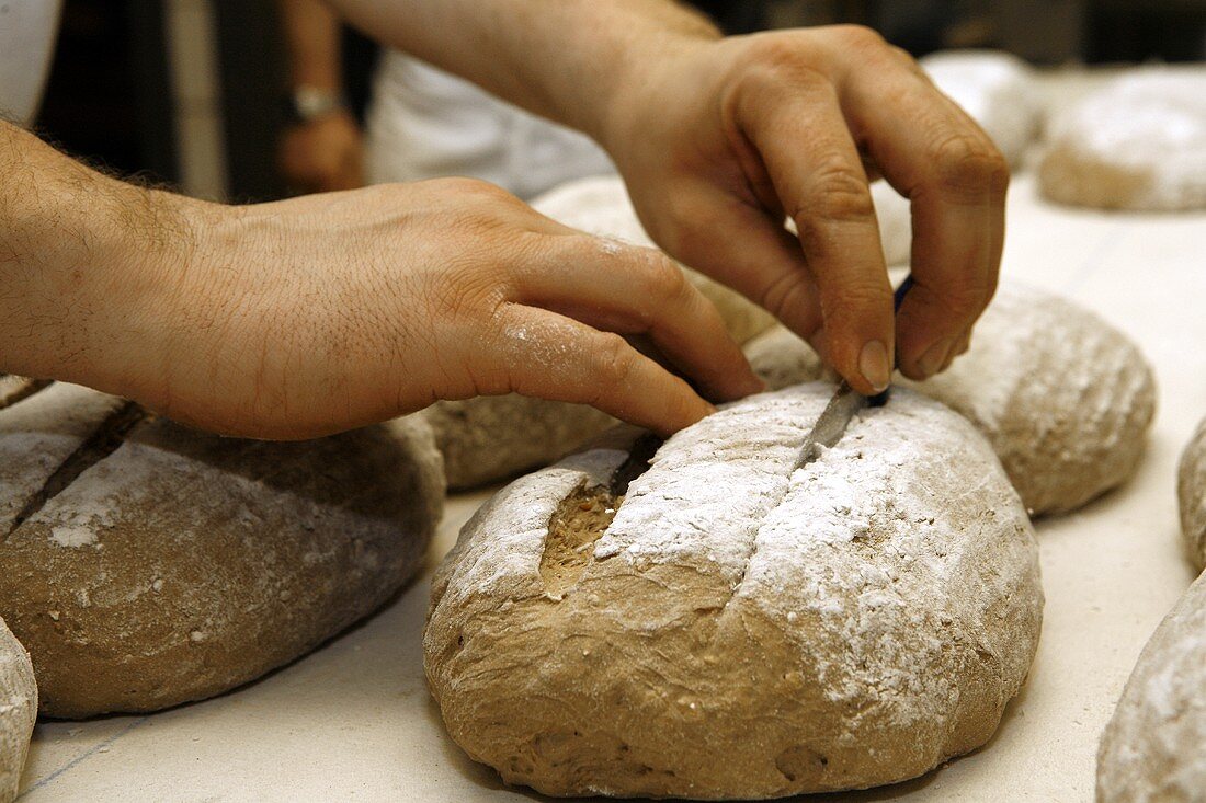 Slashing the top of shaped loaves of bread