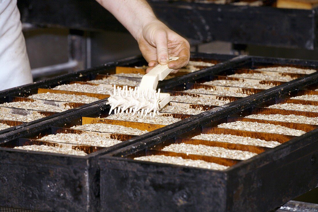 Stippling bread dough (pricking with a toothed roller)