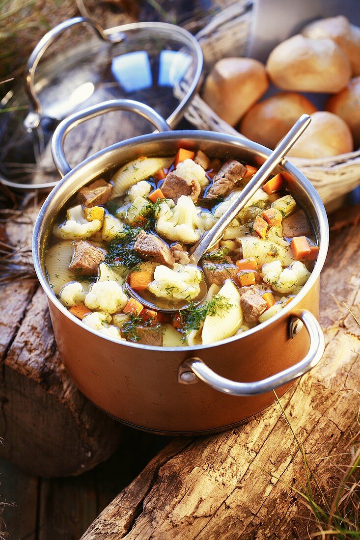 Beef and vegetable stew