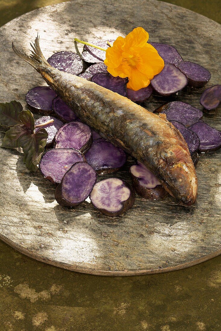 Makrele auf violetten Kartoffeln